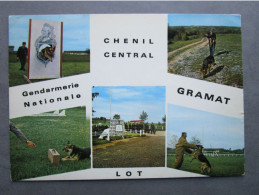 CP 46 Lot GRAMAT - Chenil Central De La Gendarmerie " Le Dressage De Ces Chiens Auxiliaires De Nos Gendarmes " 1969 - Gramat