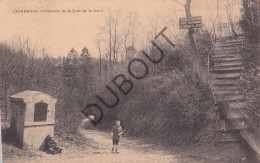 Postkaart - Carte Postale - Linkebeek - Chemin De La Tour De Malakoff (C5738) - Linkebeek