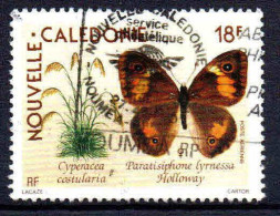 Nouvelle Calédonie  - 1990 -  Faune - PA 265 - Oblit - Used - Usados