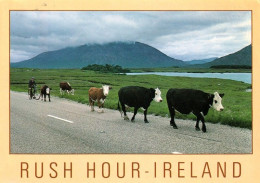 1 AK Irland / Ireland * Rush Hour In Ireland * - Dublin