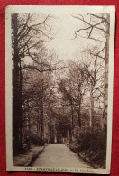 CPA - Ezanville -(S.-et-O.)  Un Sous Bois - Ezanville