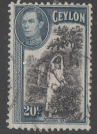 Ceylon - #282 - Used - Ceylon (...-1947)