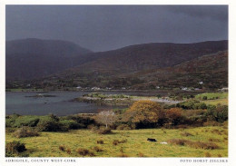 1 AK Irland / Ireland * Adrigole - Ein Dorf Auf Der Beara-Halbinsel Im County Cork * - Cork