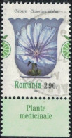 Roumanie 2023 Oblitéré Used Plantes Médicinales Cichorium Intybus Chicorée Sauvage Y&T RO 6962 SU - Usati