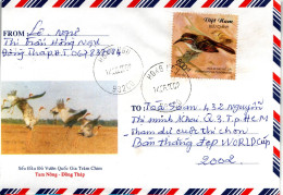 VIETNAM,  Letter, Large Scimitar - Babbler      /     Lettre, Oiseau Chanteur - Passereaux