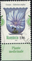 Roumanie 2023 Oblitéré Used Plantes Médicinales Cichorium Intybus Chicorée Sauvage Y&T RO 6962 SU - Gebruikt