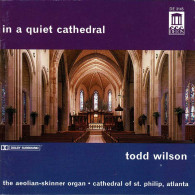 Todd Wilson - In A Quiet Cathedral. 2 X CD - Klassik