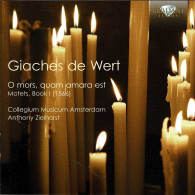 Giaches De Wert - Collegium Musicum Amsterdam - O Mors, Quam Amara Est. Motets, Book I (1566). CD - Classique
