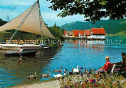 73227036 Immenstadt Allgaeu Uferpartie Am Alpsee Schwaene Immenstadt Allgaeu - Immenstadt