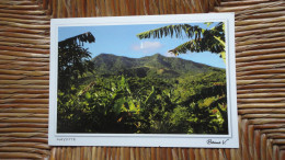 Mayotte , Mont Bénara : Le Sommet De Mayotte - Mayotte