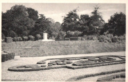 Ronse - Park Kruisberg, Arbre De Malander - Renaix - Ronse