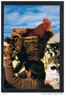 PONTE DE LIMA - MERCADO COQ ROOSTER MARKET - PORTUGAL ( 2 SCANS ) - Viana Do Castelo