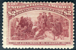 ** 1893 - Columbian Exposition Issue, 2 Dollari Brown Red Scott (242) Never Hinged (3.600) - Unused Stamps