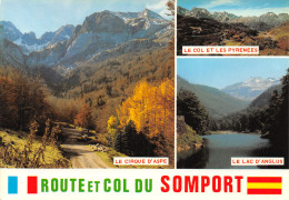 64-COL DU SOMPORT-N°2781-C/0187 - Col Du Somport