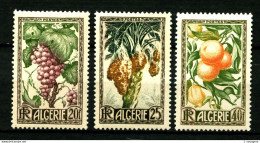 ALGERIE - 279 / 281 - Productions Algériennes - Complet 3 Valeurs - Neufs N* - Très Beaux - Neufs