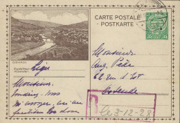 Luxembourg - Luxemburg - Carte - Postale 1928    Diekirch -  Cachets   Luxembourg - Enteros Postales