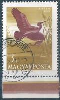 C5748 Hungary Animal Bird Water Nature Protection Used RARE - Kraanvogels En Kraanvogelachtigen