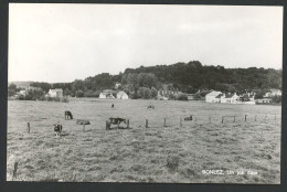 Carte Photo - Bonlez - Un Joli Coin - Voir Scans - Chaumont-Gistoux
