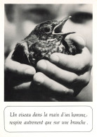 PETIT OISEAU DANS DES MAINS - UN OISEAU DANS LA MAIN D UN HOMME RESPIRE AUTREMENT QUE SUR UNE BRANCHE - Philosophie