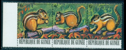 1977 Wild Animals,palm Squirrel Funambulus Palmarum,rodent,Guinea,805,MNH - Chimpanzés