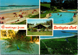 9-3-2024 (2 Y 31) Australia -  NSW - Darlington Park (Corindi Beach 2456) - Autres & Non Classés