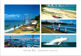 9-3-2024 (2 Y 31) Australia -  QLD - Hervey Bay - Gold Coast