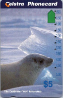 9-3-2024 (Phonecard) Penguins & Seal - $ 5.00 - 10.00 - Phonecard - Carte De Téléphoone (2 Card) - Australia