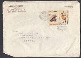 ROMANIA - 1994 - Busta Viaggiata Affrancata Con Yvert 4071 E 4102. - Storia Postale