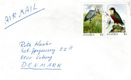 ZAMBIA, Letter, Taita Falcon    /  ZAMBIE, Lettre, Faucon, Falco Fasciinucha - Águilas & Aves De Presa