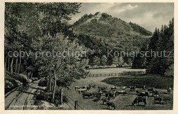 73776483 Harzgerode Jagdschloss Meiseberg Im Selketal Harzgerode - Harzgerode