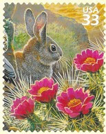 USA 1999 Mi.No. 3107 Etats-Unis United States Sonoran Desert #1 Cottontail Rabbits Mammals Plants 1v MNH** 0,80 € - Konijnen