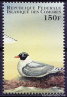 Comoros 1998 MNH, Franklin's Gull, Water Birds - Seagulls