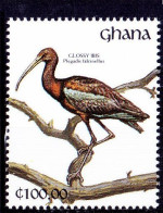 Ghana 1991 MNH, Water Birds, Glossy Ibis - Albatro & Uccelli Marini