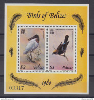 Belize 1980 Birds S/s (with 2 Stamps), Mint NH, Nature – Birds - Belice (1973-...)