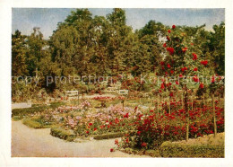 73310082 Sangerhausen Suedharz Rosarium Gedenkstein Des Begruenders Albert Hoffm - Sangerhausen