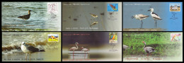 INDIA 2024 SET OF 6 SPECIAL COVER ISSUED FROM POINT CALIMERE WILDLIFE SANTURY KODIAKKARAI FAUNA BIRDS LIMITED KNOWN RARE - Storia Postale