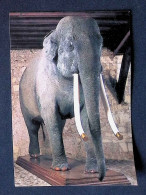 Cp, Animaux, Eléphant, Fritz, Musée Des Beaux Arts, 37, Tours, Ed. Gaud, écrite - Éléphants