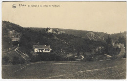 ONHAYE - FALAEN : Le Tunnel Et Les Ruines De Montaigle - Onhaye