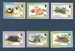 Jersey, **, Yv 1046 à 1051, Mi 1048 à 1053, SG 1060 à 1065, Chats, - Jersey