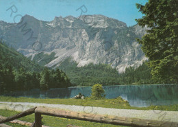 CARTOLINA  C1 EBENSEE,ALTA AUSTRIA,AUSTRIA-HINTERER LANGBATHSEE BEI EBENSEE-SALZKAMMERGUT-VIAGGIATA 1966 - Ebensee