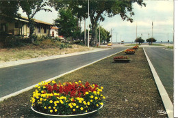 [33] Gironde > Carcans  Maubuisson Les Allees Fleuries - Carcans