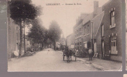 Cpa Libramont  Attelage  1916   Cachets Allemands - Libramont-Chevigny