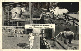 Wuppertal Elberfeld - Zoologischer Garten - Wuppertal