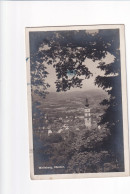 E5361) WOLFSBERG In Kärnten - Aus Dem Wald Gesehen 14.04.1933 - Wolfsberg