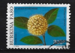Burkina Faso 1991 Flower Y.T. 842 (0) - Burkina Faso (1984-...)
