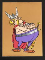 80 - PANINI Family Astérix 60 Ans D'aventures - Carrefour Sticker Vignette - Edizione Francese