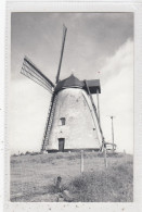 Nukerke. Molen Ter Hengst. * - Maarkedal