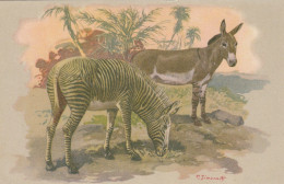 CPA (  Animaux) ZEBRE  ZEBRA DI GREVY (illustrateur Simonetti) (b.bur Theme) - Cebras