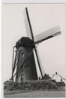 Delcampe - Kessenich. De Korenbloem. * - Kinrooi