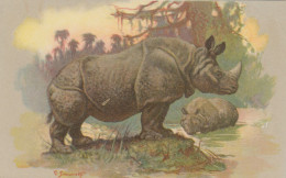 CPA (  Animaux)  RHINOCEROS  (illustrateur Simonetti) (b.bur Theme) - Rhinocéros